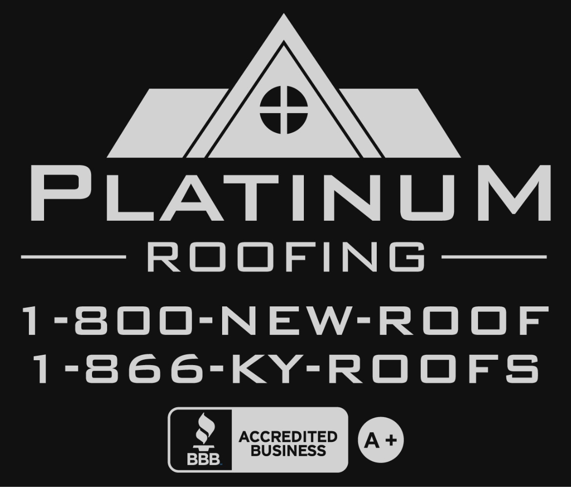Avatar for Platinum Roofing