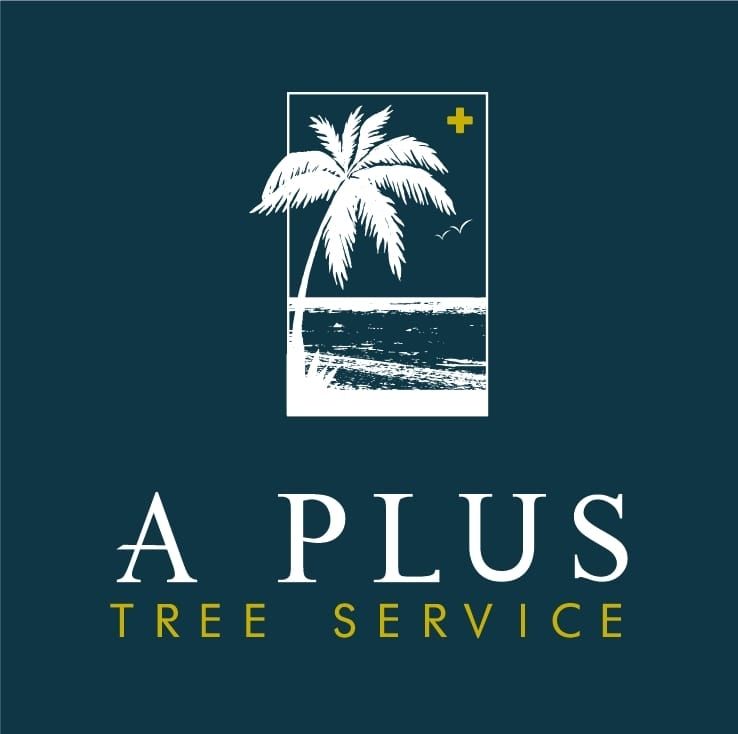 A PLUS TREE SERVICE, INC. logo