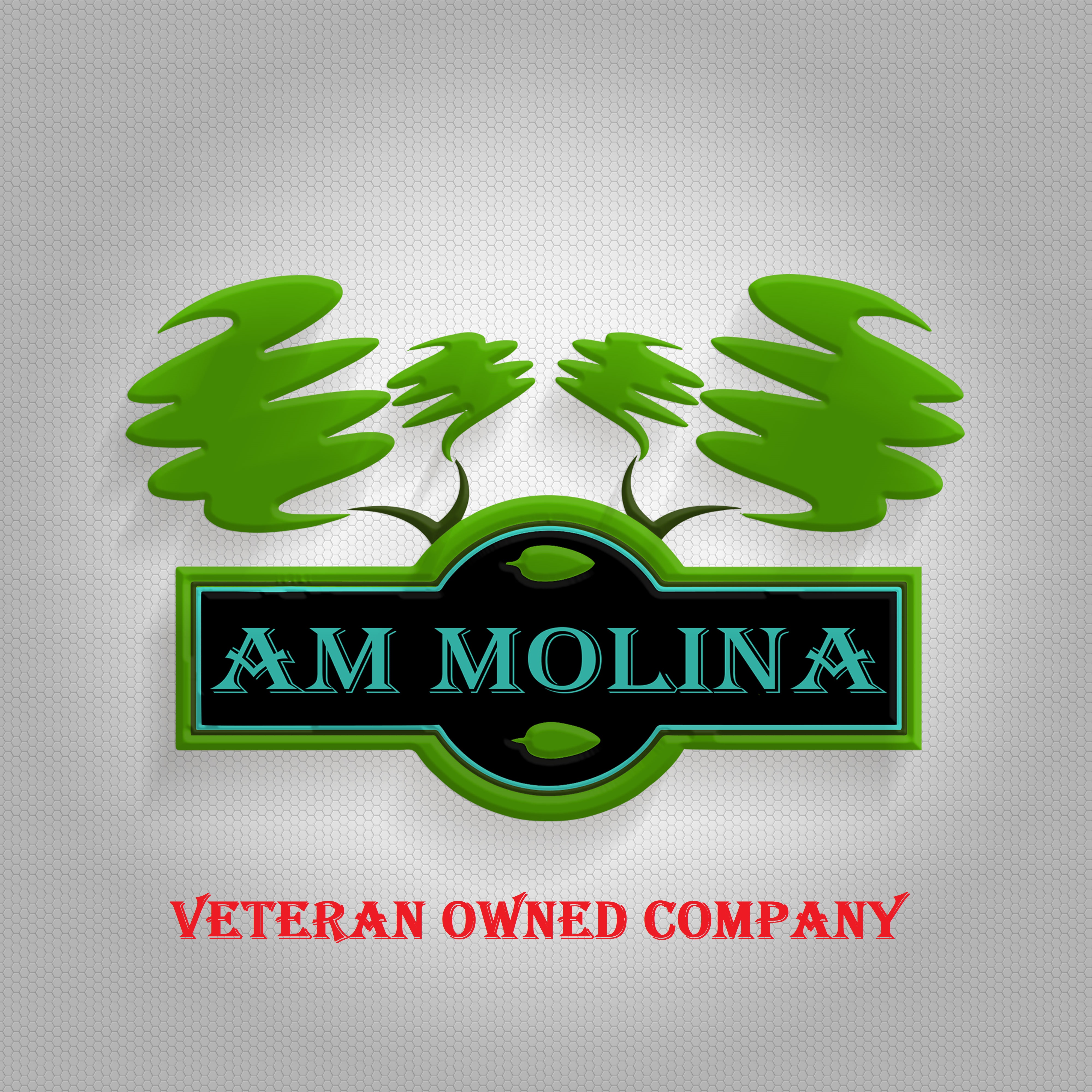 Avatar for AM MOLINA LLC