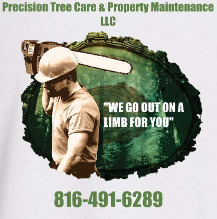 Avatar for Precision Tree Care & Property Maintenance LLC