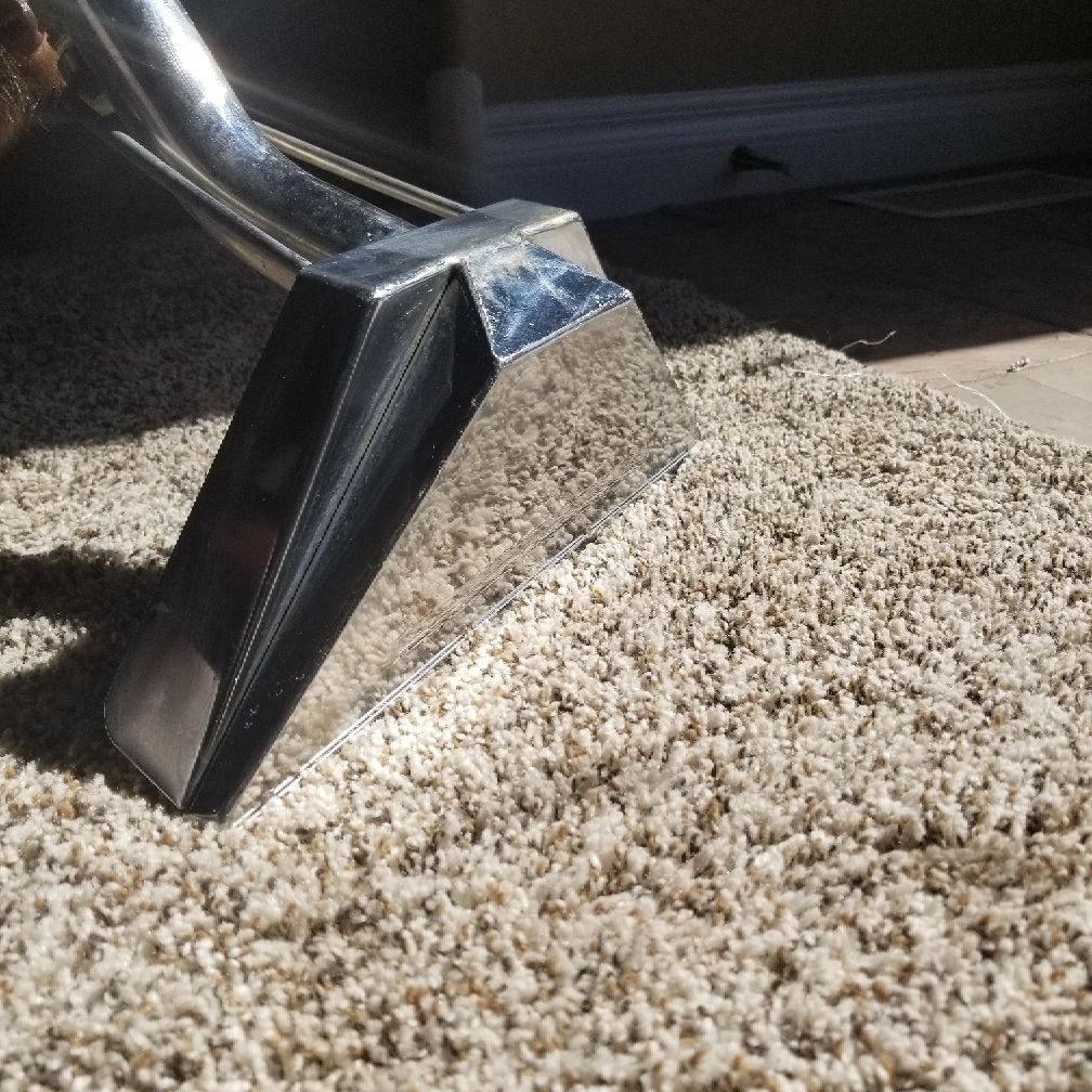 Taylormaid Carpet Cleaning logo