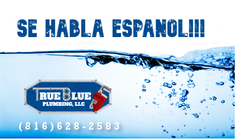 Avatar for True Blue Plumbing LLC