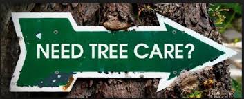 Dyer's Tree Service logo