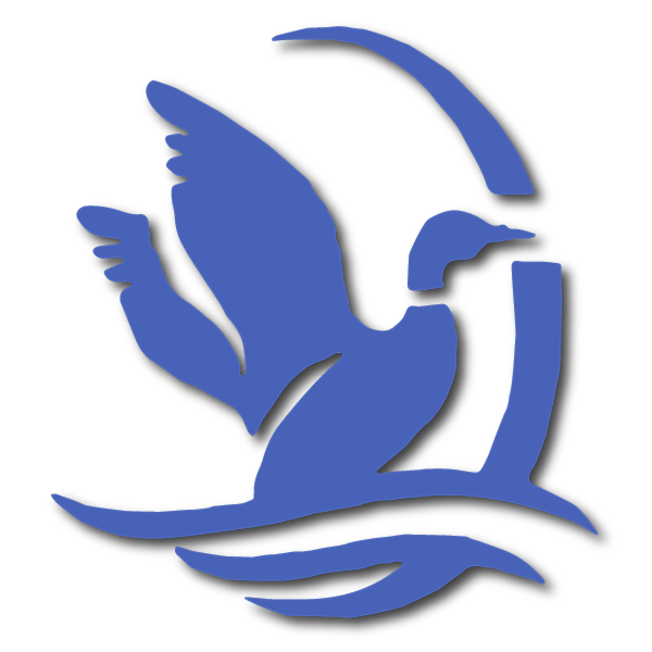 Duckworth Gutters & Renovation logo