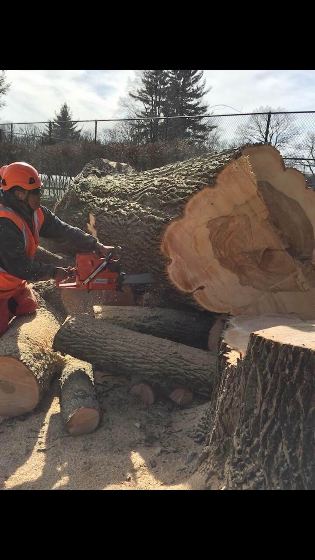 Avatar for Orozco Landscaping and Tree service