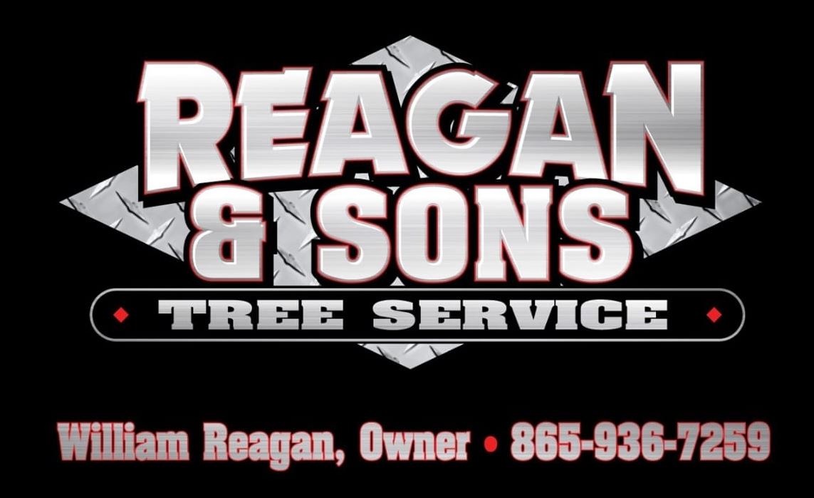 Avatar for Reagan And Sons Excavating And Tree Removal