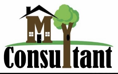 Avatar for my consultant