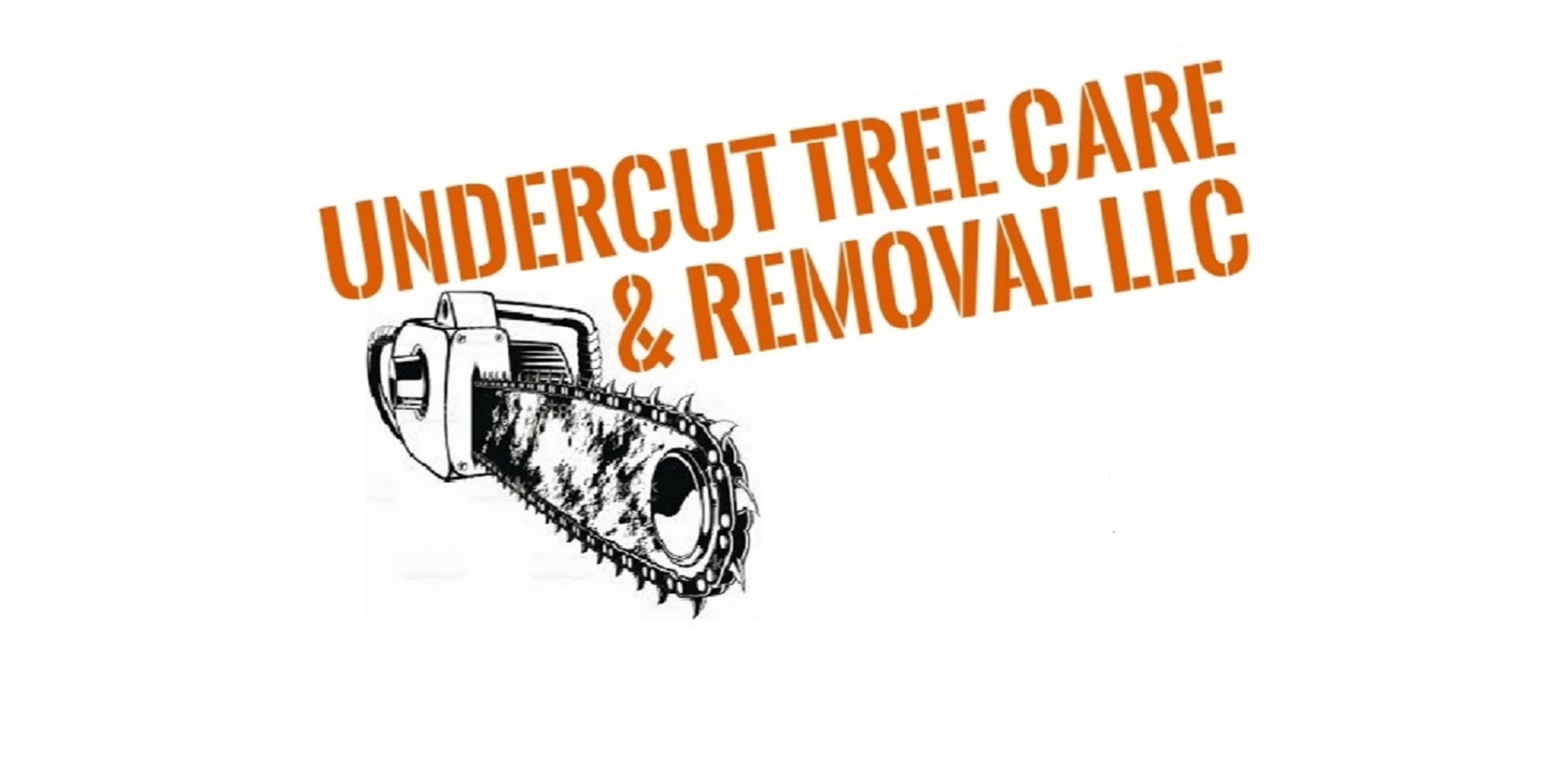 Avatar for UnderCut Tree Care and Removal