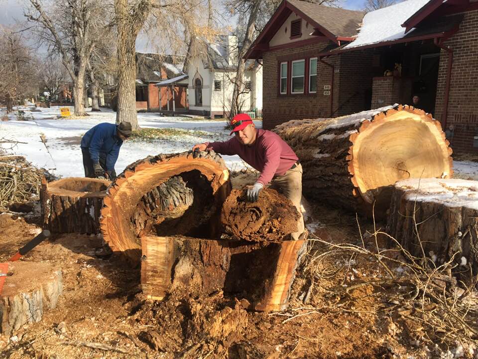 Avatar for Cornerstone Tree and Landscape Services