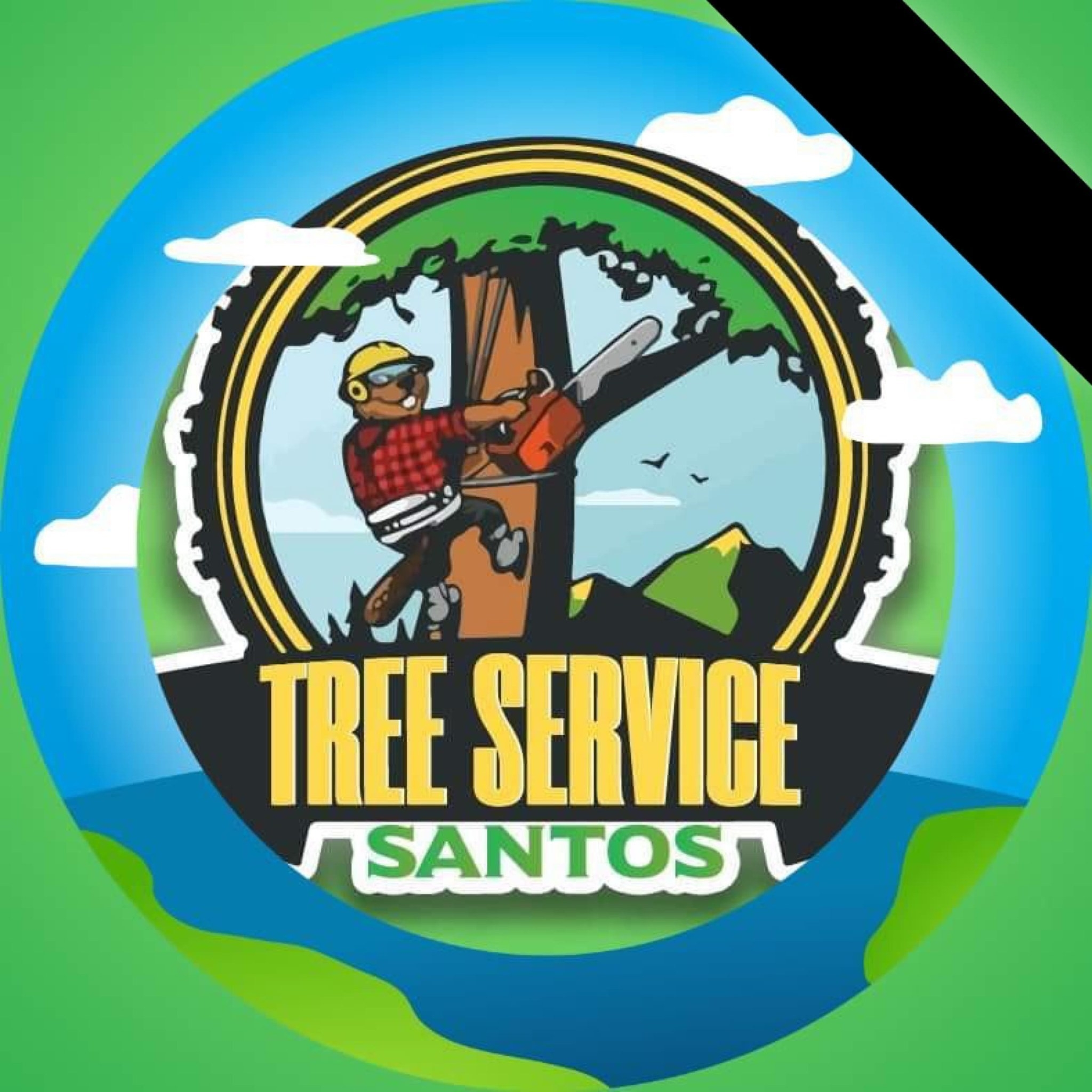 Avatar for Tree service Santos