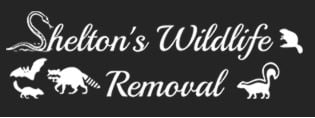 Avatar for Shelton's Wildlife Removal