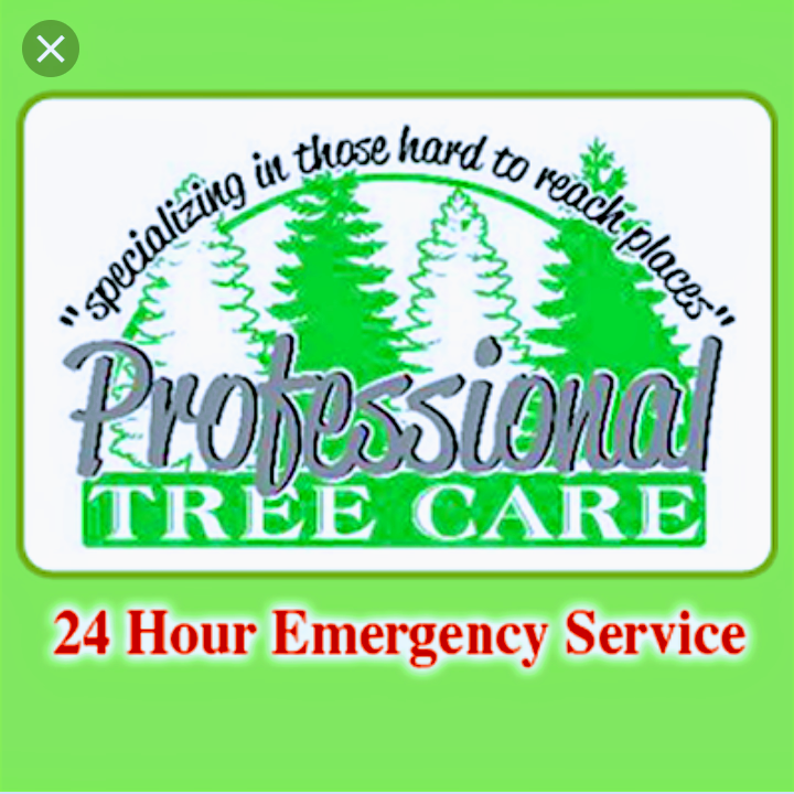 Professional Tree Service logo