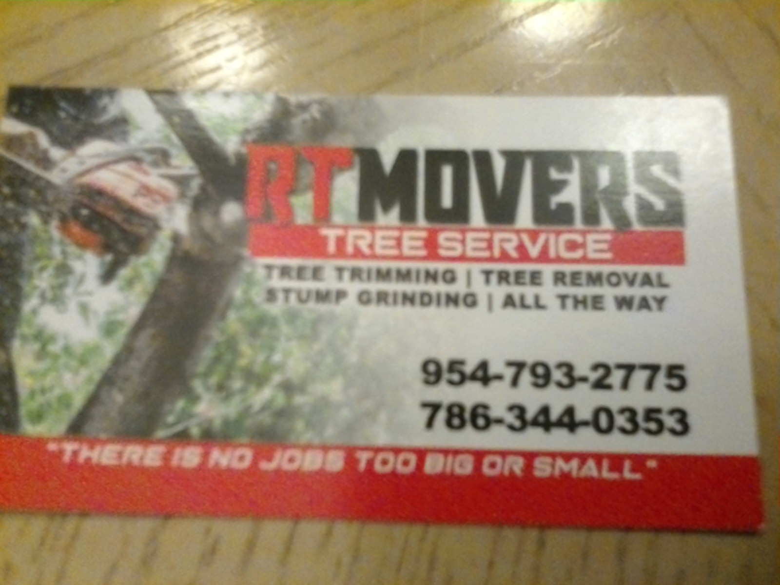 Avatar for RT Movers Tree Service