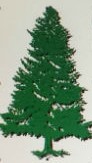 Avatar for Big Pine Plumbing
