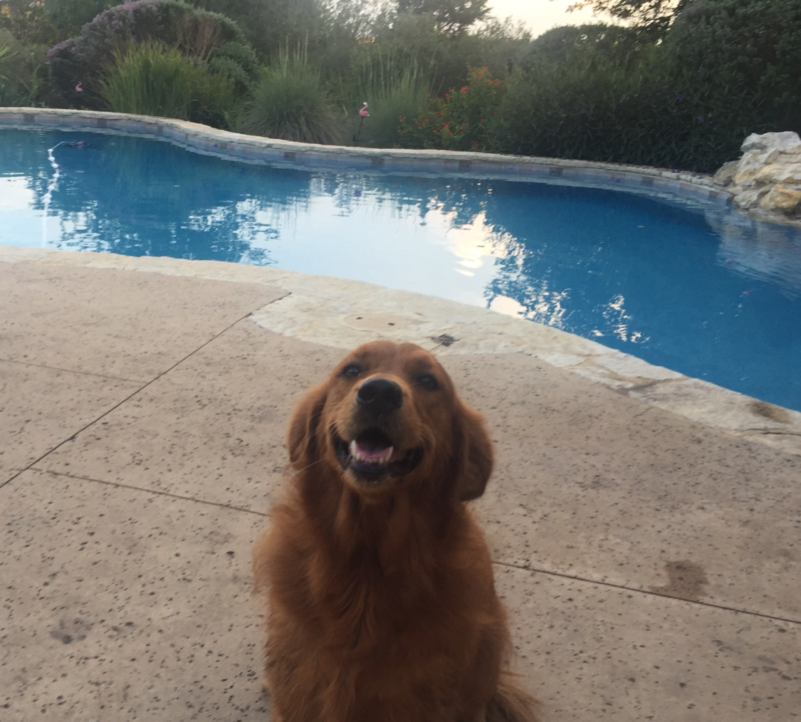 Avatar for Sublime Pool Service