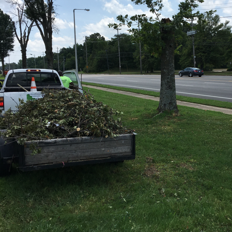 Avatar for Micheals Tree Association
