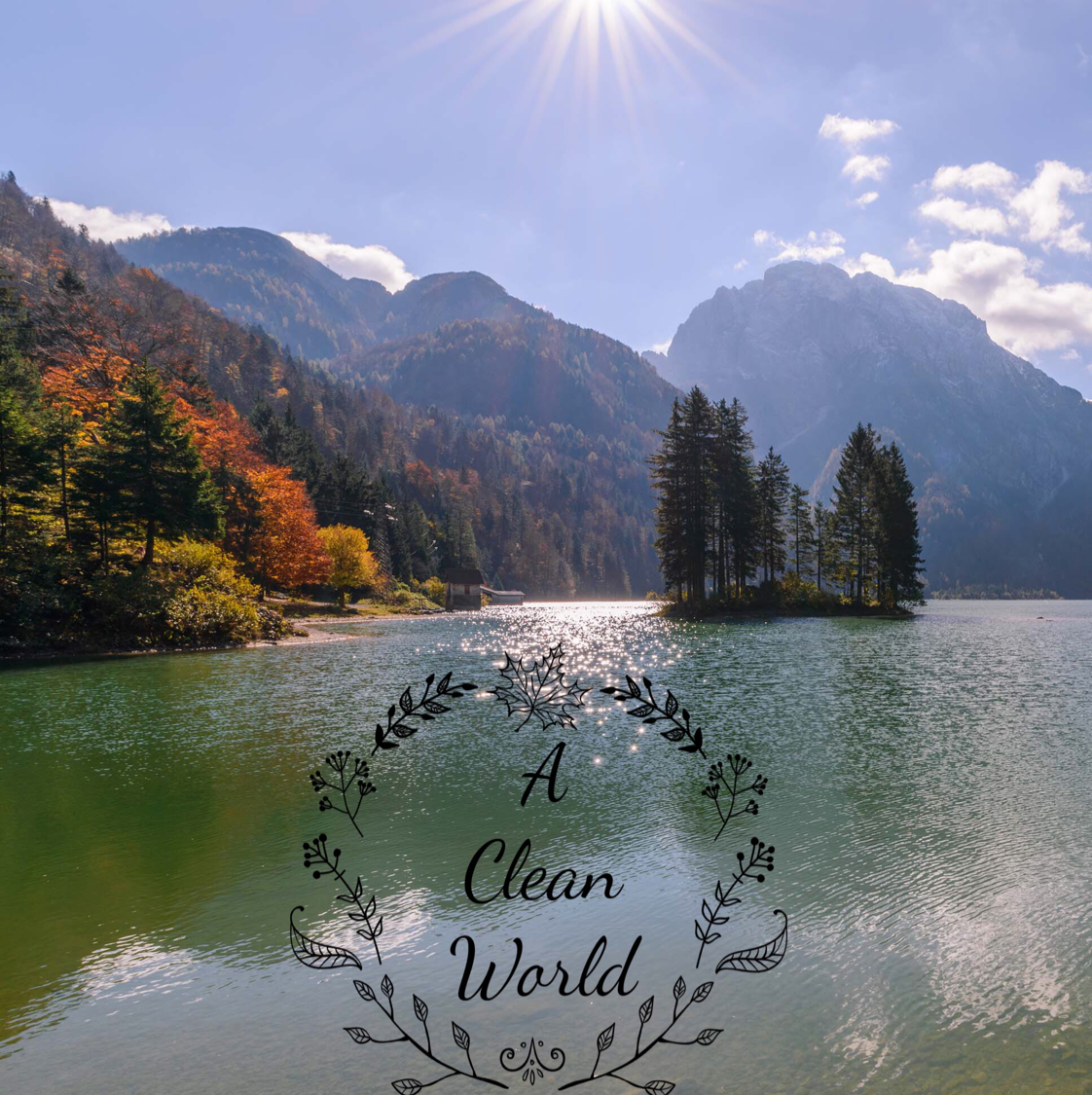 A Clean World Cleaning Services LLC logo