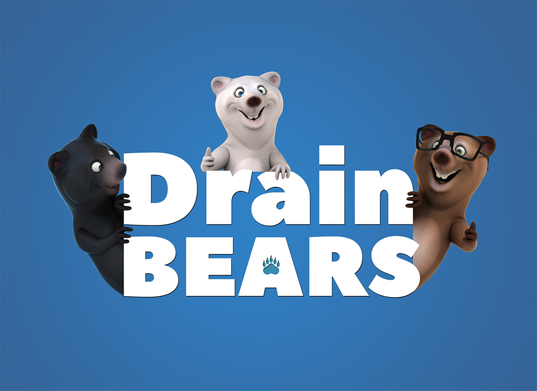 Logo for Drain Bears