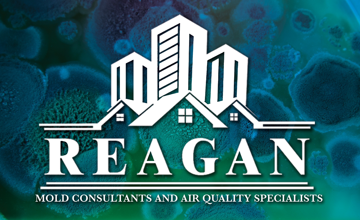 Reagan Mold Consultants & Air Quality Specialists logo