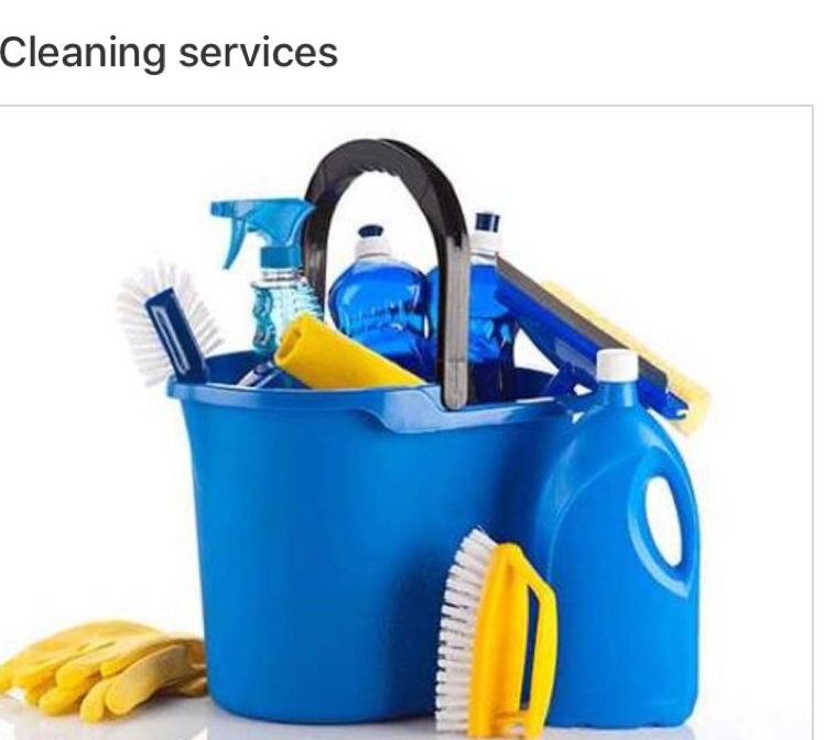 Priority 1 Cleaning Solutions logo