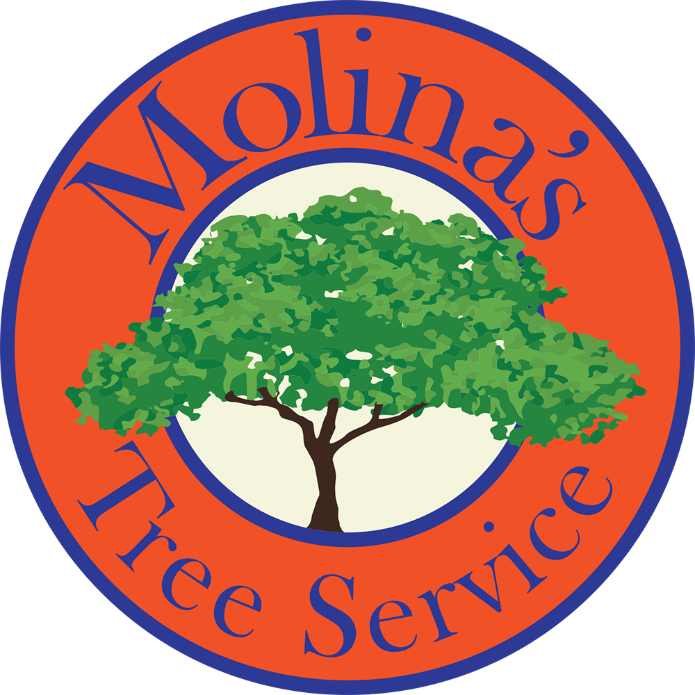 Molina's Tree Service and Landscaping logo
