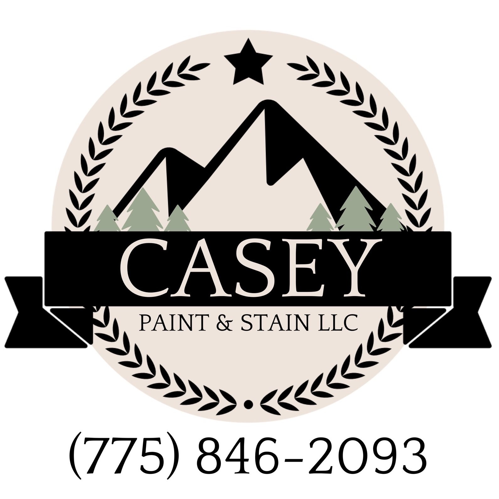 Avatar for Casey Paint & Stain LLC