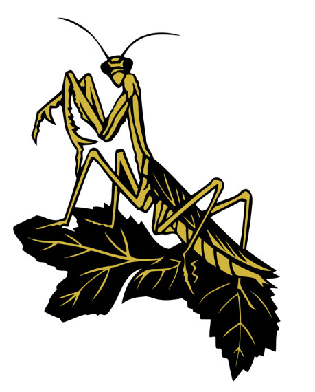 AA Pest Management, Inc logo