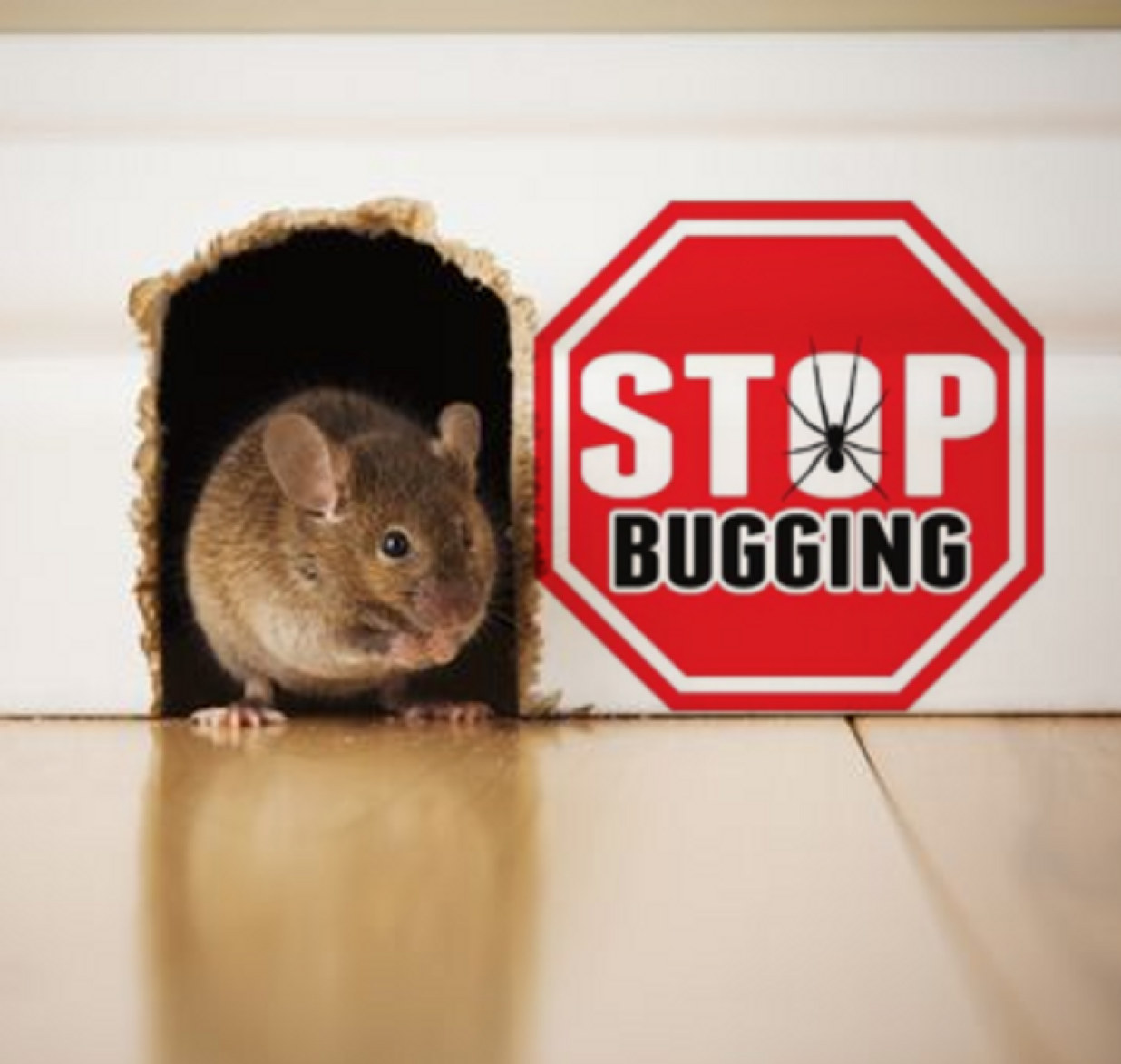 Stop Bugging logo