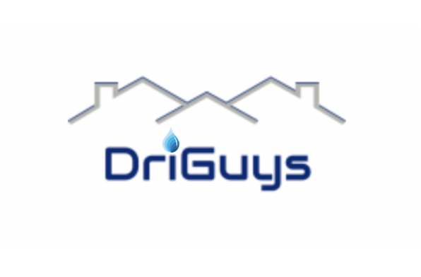 DriGuys Restoration LLC logo
