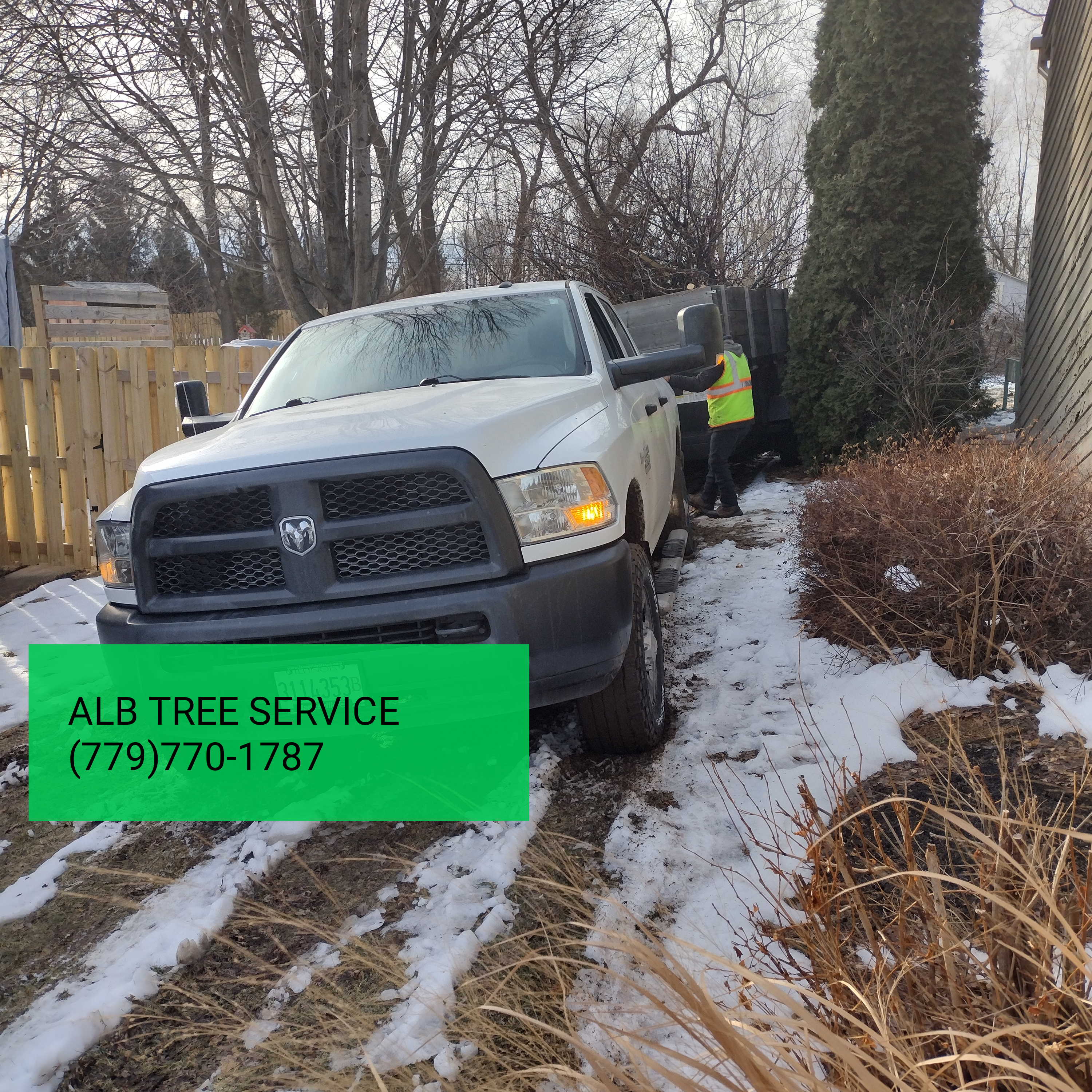 Avatar for Alb Tree Service