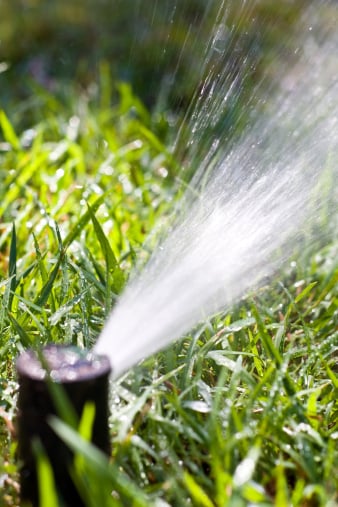 Avatar for Sprinkler Nightmare Repair
