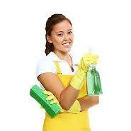 Logo for Kaizer Cleaning Services