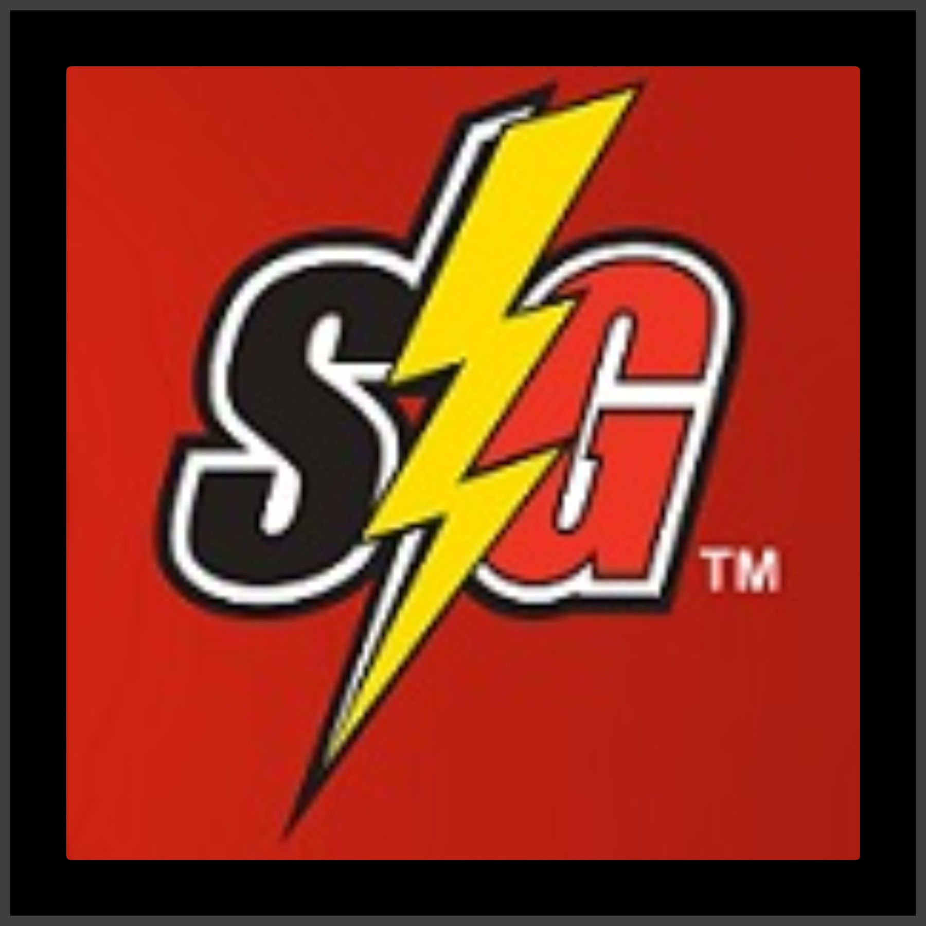Avatar for Storm Guard Roofing and Construction