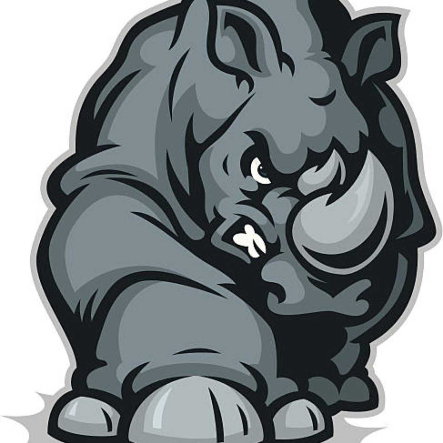 Avatar for Construction Rhinos