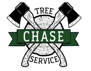 Logo for Chase Tree Service