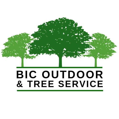 Avatar for BIC Outdoor & Tree Service