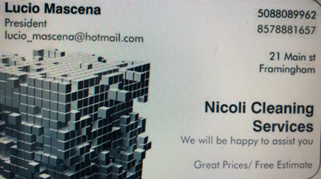 Nicoli cleaning logo
