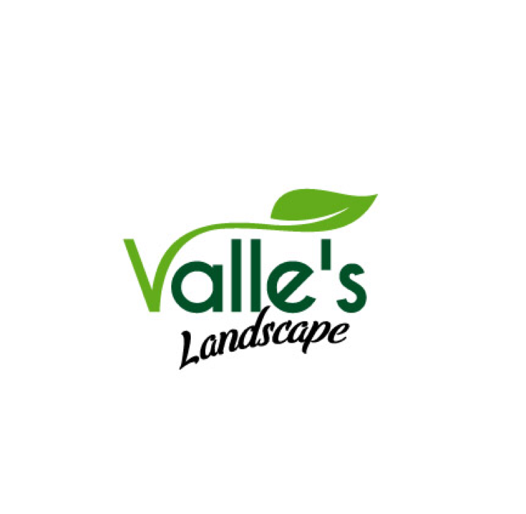 Avatar for Valle's Landscape