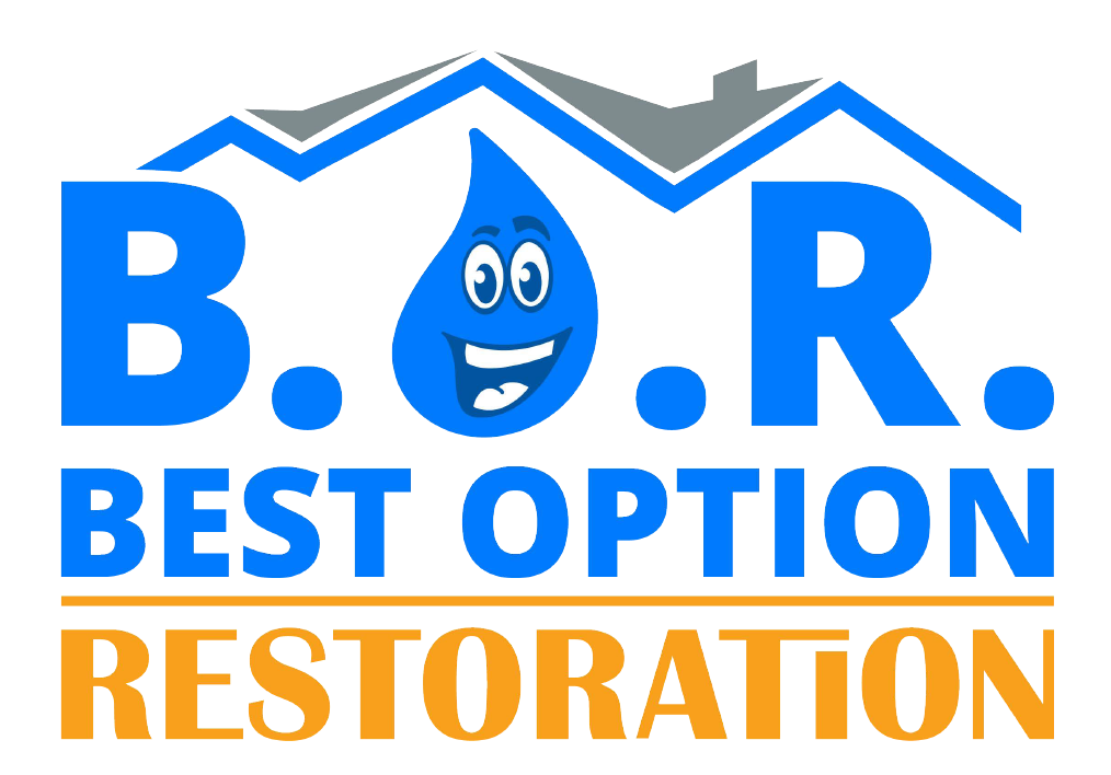 Avatar for Best Option Restoration
