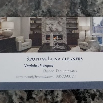 Avatar for Spotless Luna Cleaner
