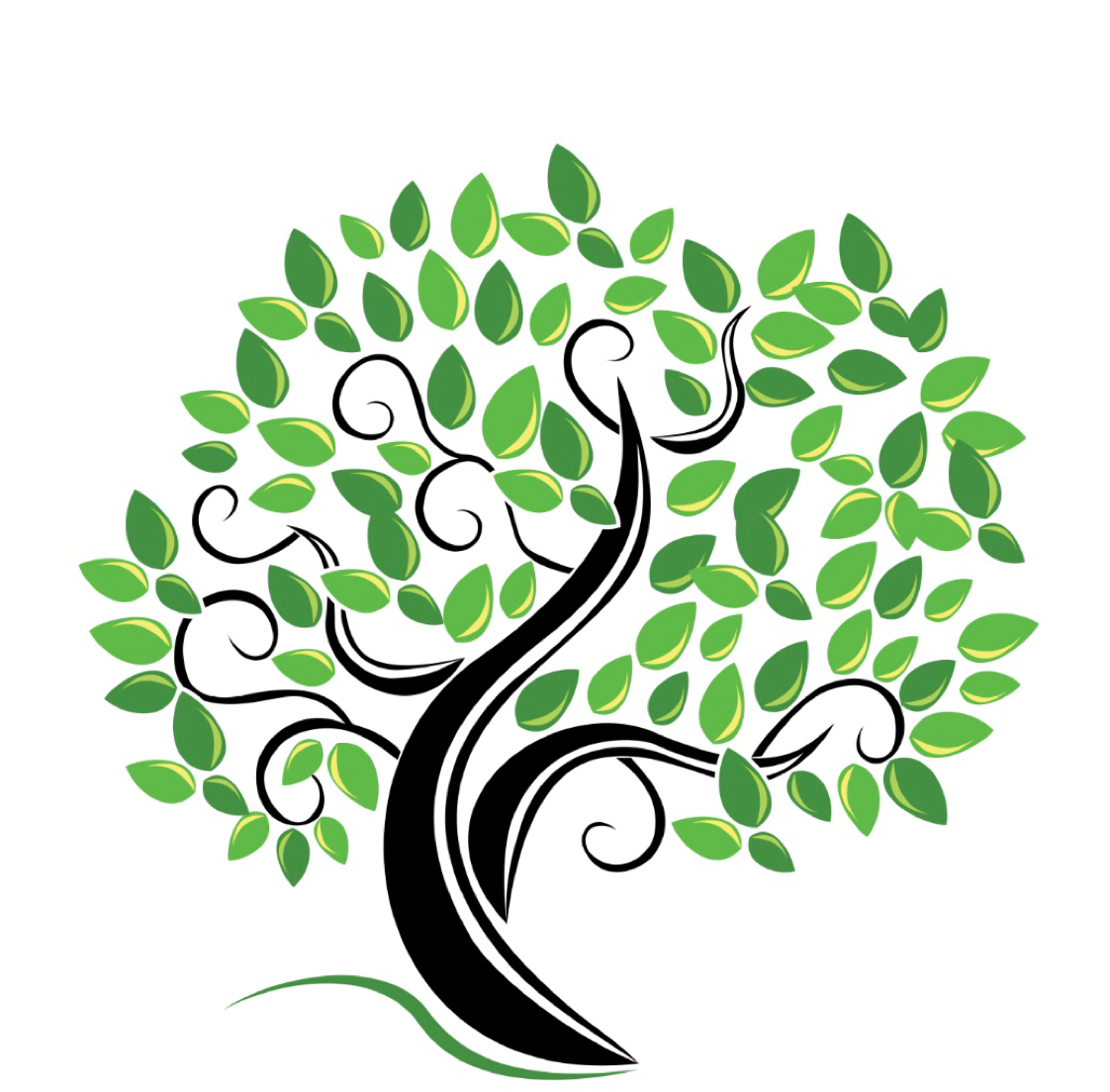 Avatar for All Access Arbor Care