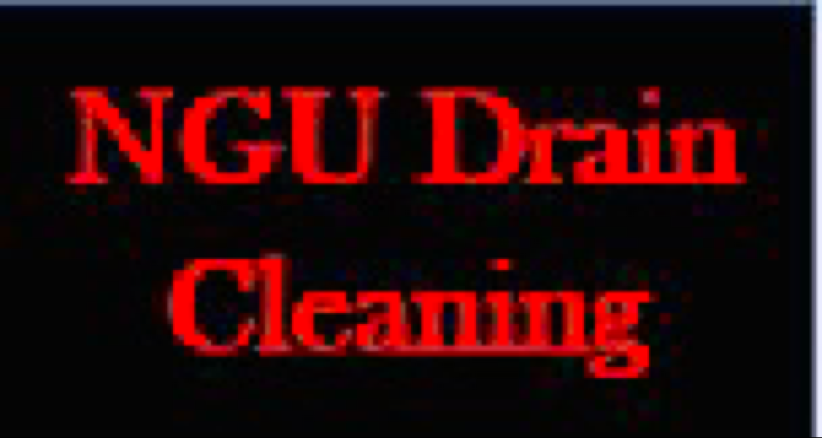 NGU DRAIN CLEANING logo