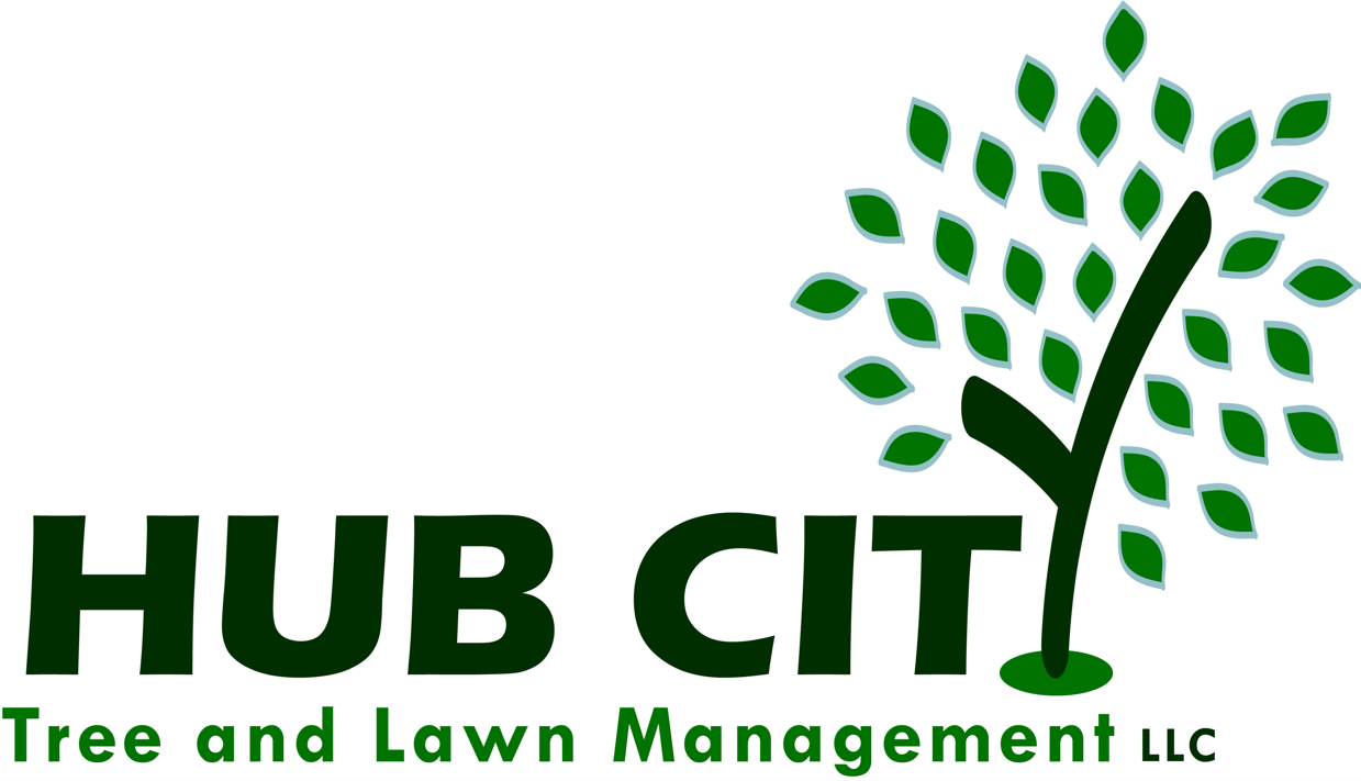 Hub City Tree & Preservation logo