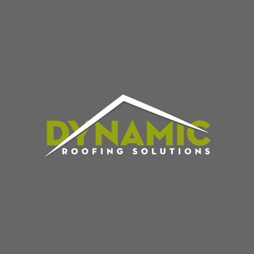 Avatar for Dynamic Roofing Solutions