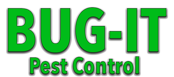 Avatar for Bug It Pest Control