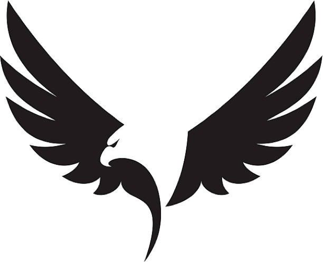 Avatar for Freedom roofing