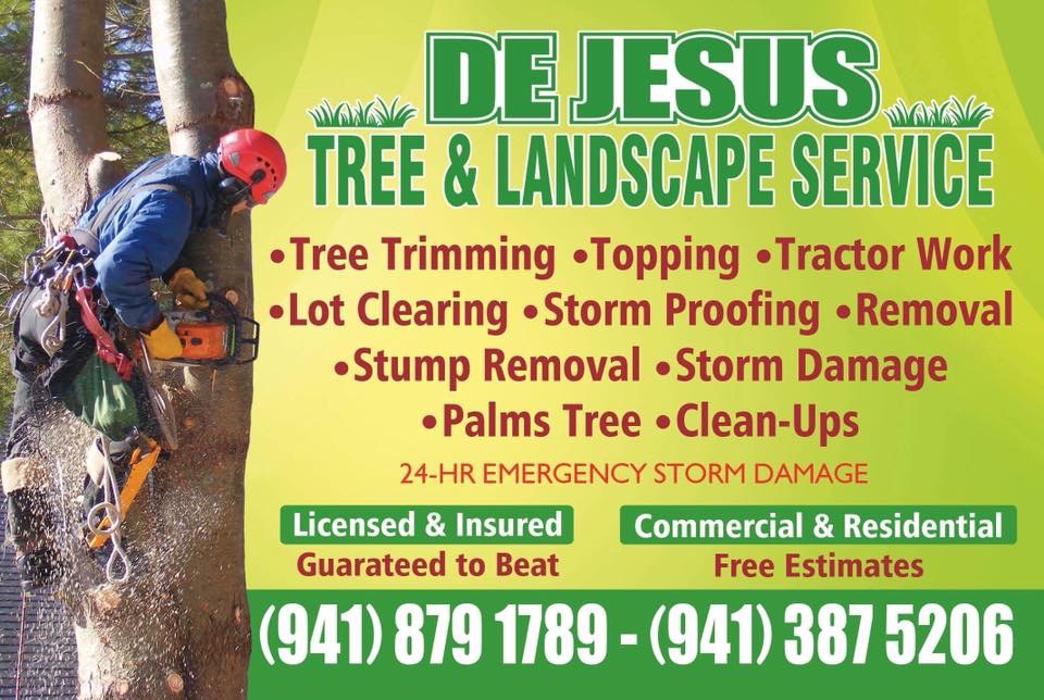 Avatar for DeJesus Tree and Lawn Service