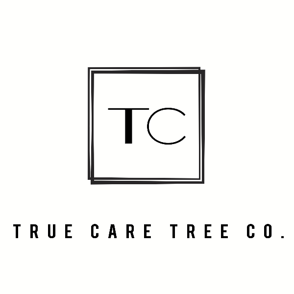 Logo for True Care Services