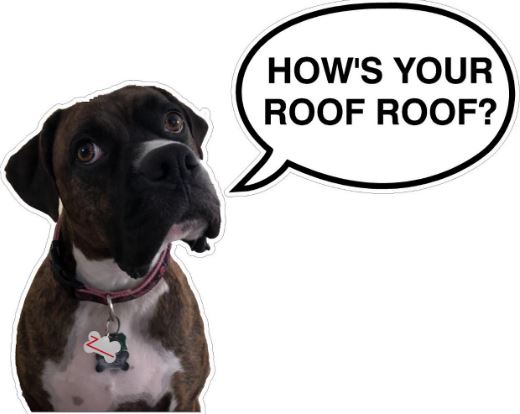 Logo for Z Roofing Group LLC