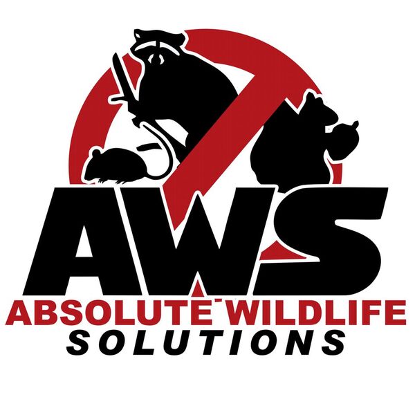 Avatar for Absolute Wildlife Solutions